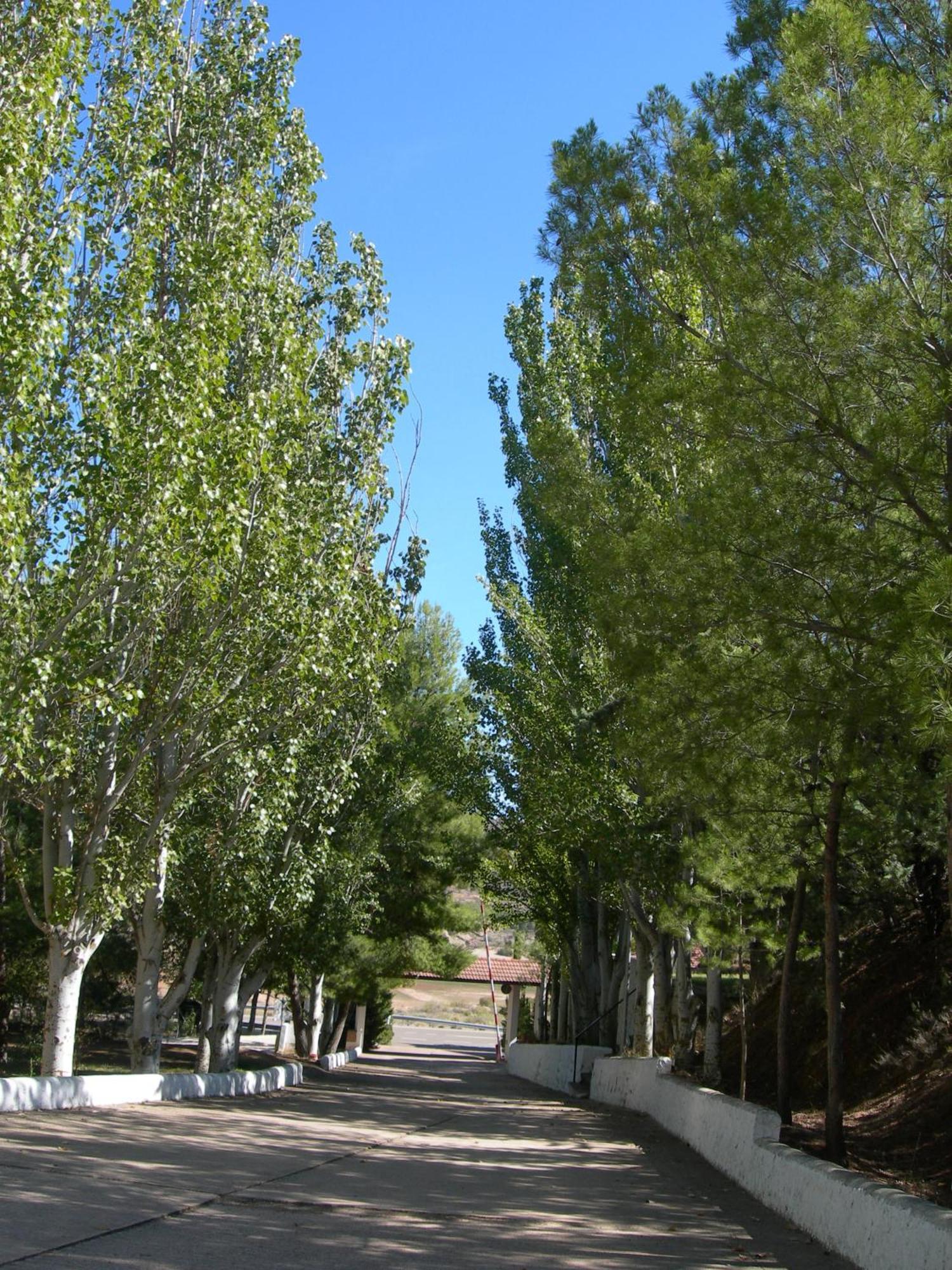Lago Resort Nuevalos Exterior photo
