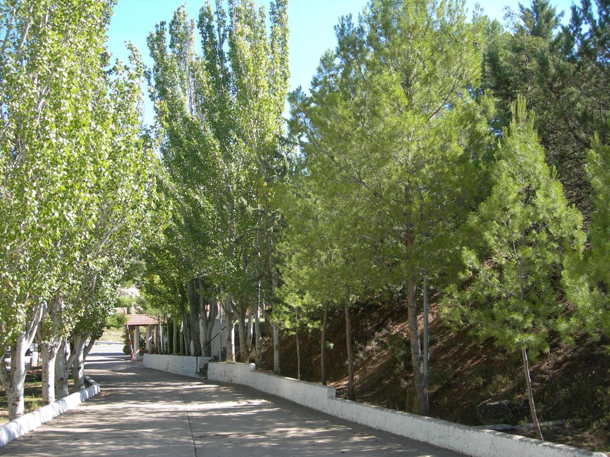 Lago Resort Nuevalos Exterior photo